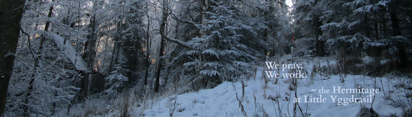 the Hermitage at Little Yggdrasil